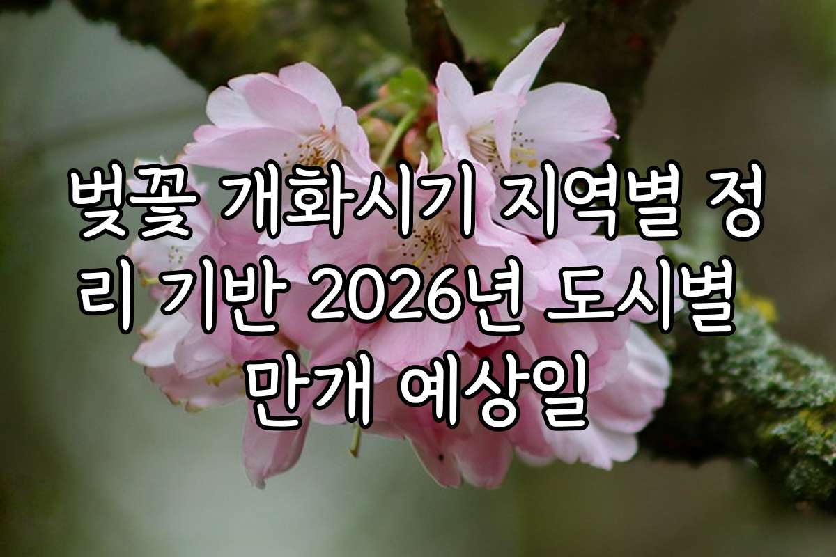 벚꽃 개화시기 지역별 정리 기반 2026년 도시별 만개 예상일