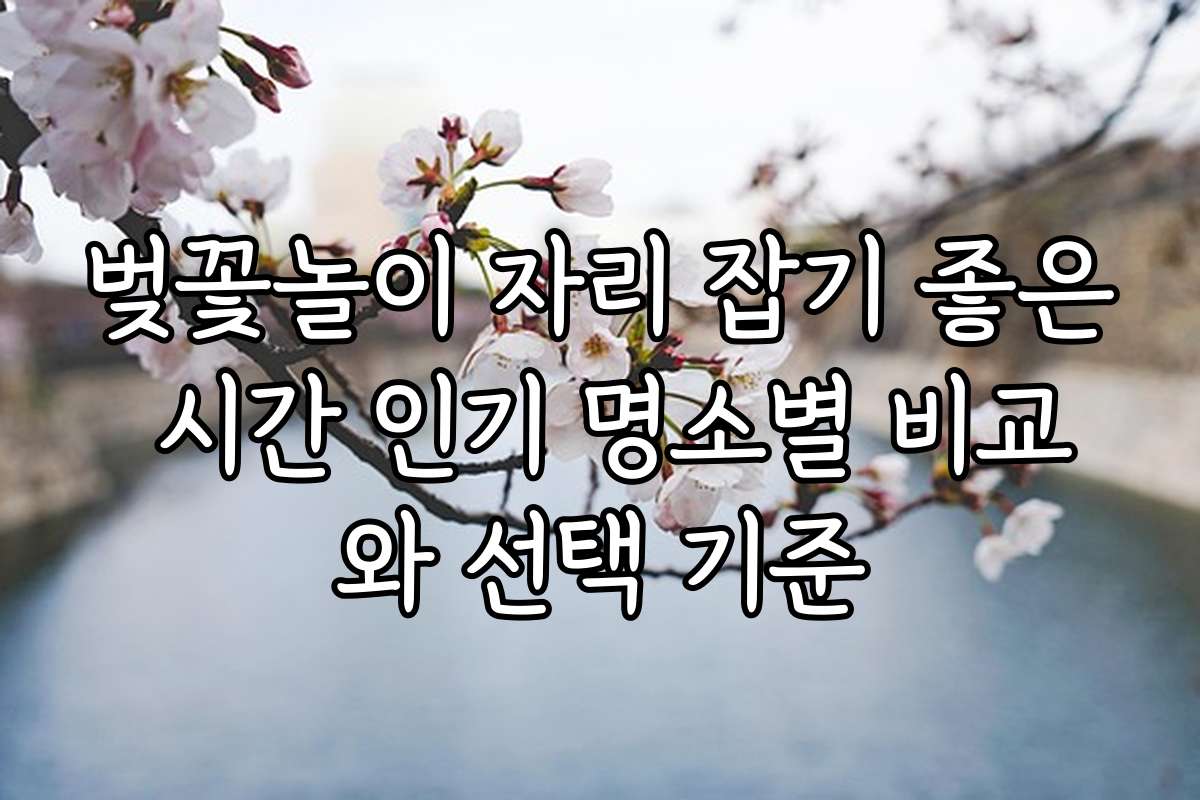 벚꽃놀이 자리 잡기 좋은 시간 인기 명소별 비교와 선택 기준