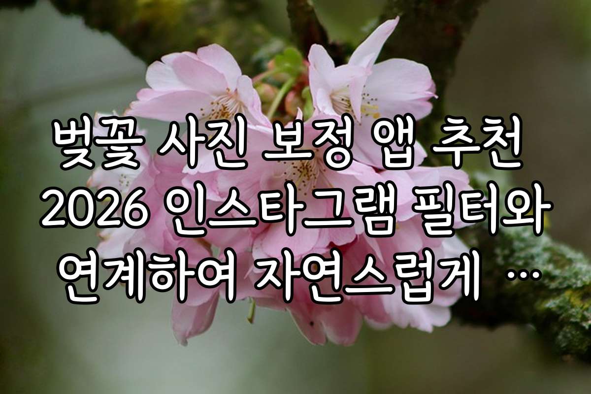 벚꽃 사진 보정 앱 추천 2026 인스타그램 필터와 연계하여 자연스럽게 보정하는 방법