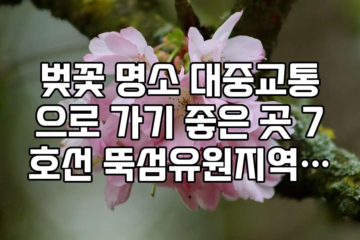 벚꽃 명소 대중교통으로 가기 좋은 곳 7호선 뚝섬유원지역 한강공원