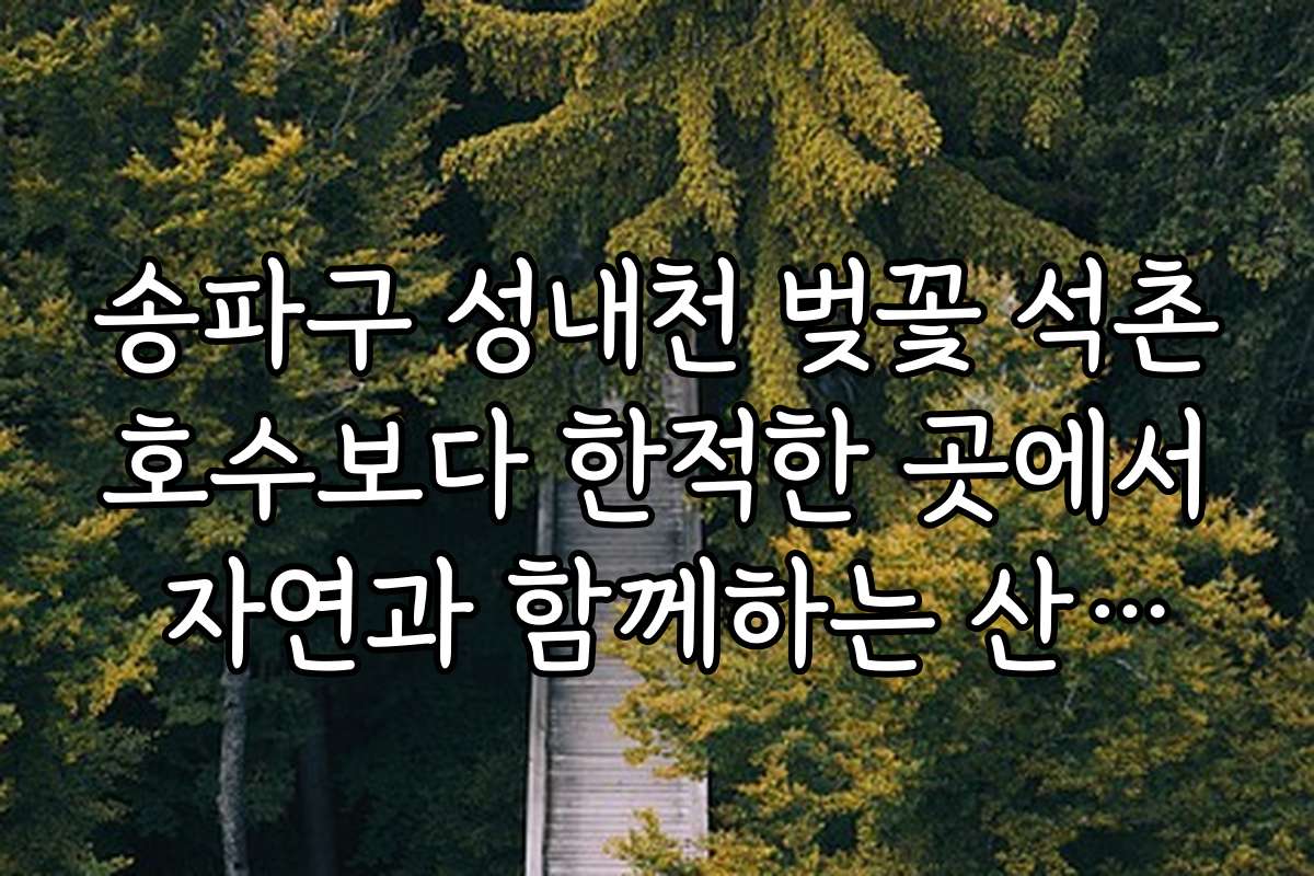 송파구 성내천 벚꽃 석촌호수보다 한적한 곳에서 자연과 함께하는 산책길 추천 리스트