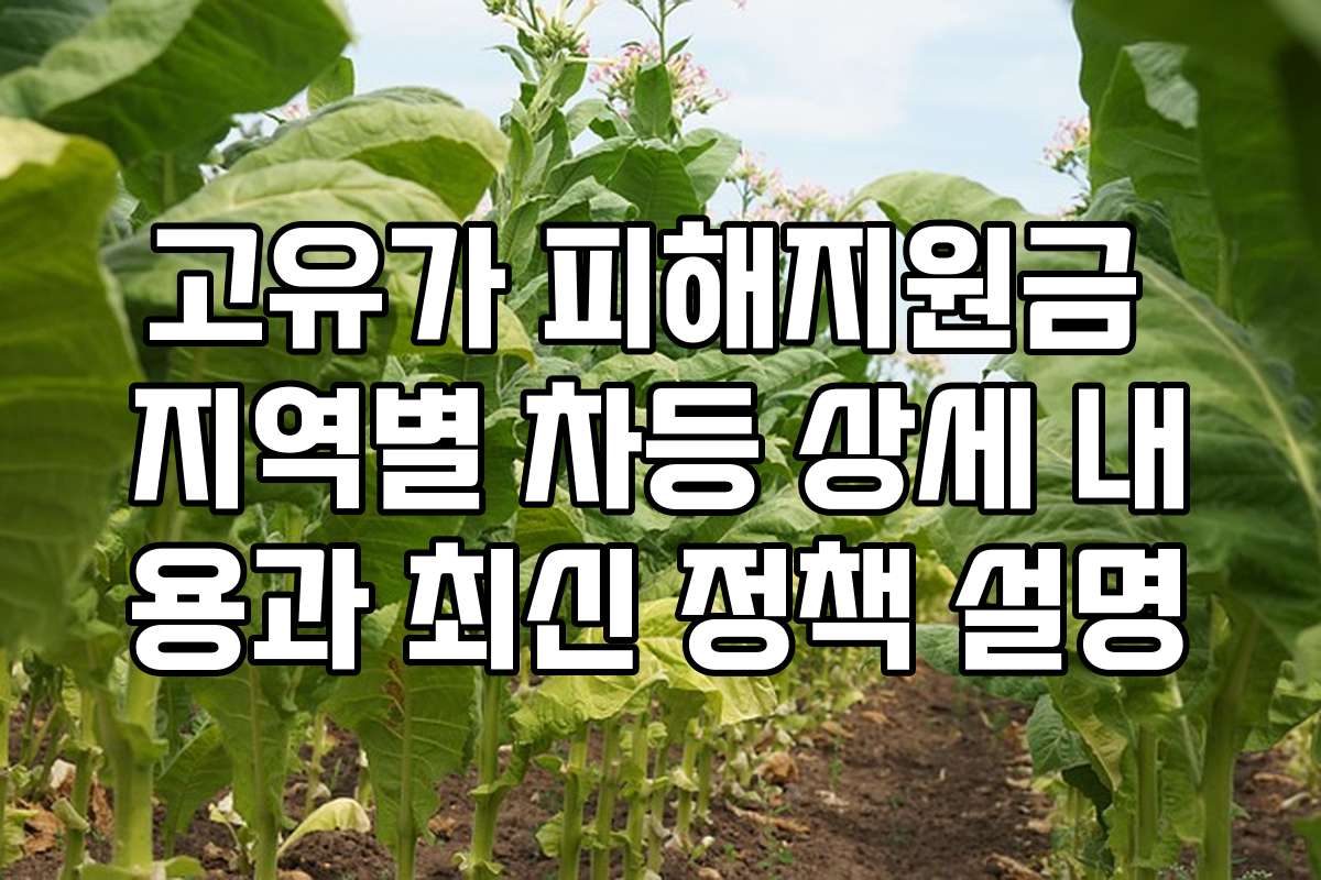 고유가 피해지원금 지역별 차등 상세 내용과 최신 정책 설명