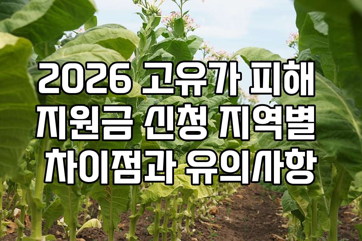 2026 고유가 피해 지원금 신청 지역별 차이점과 유의사항