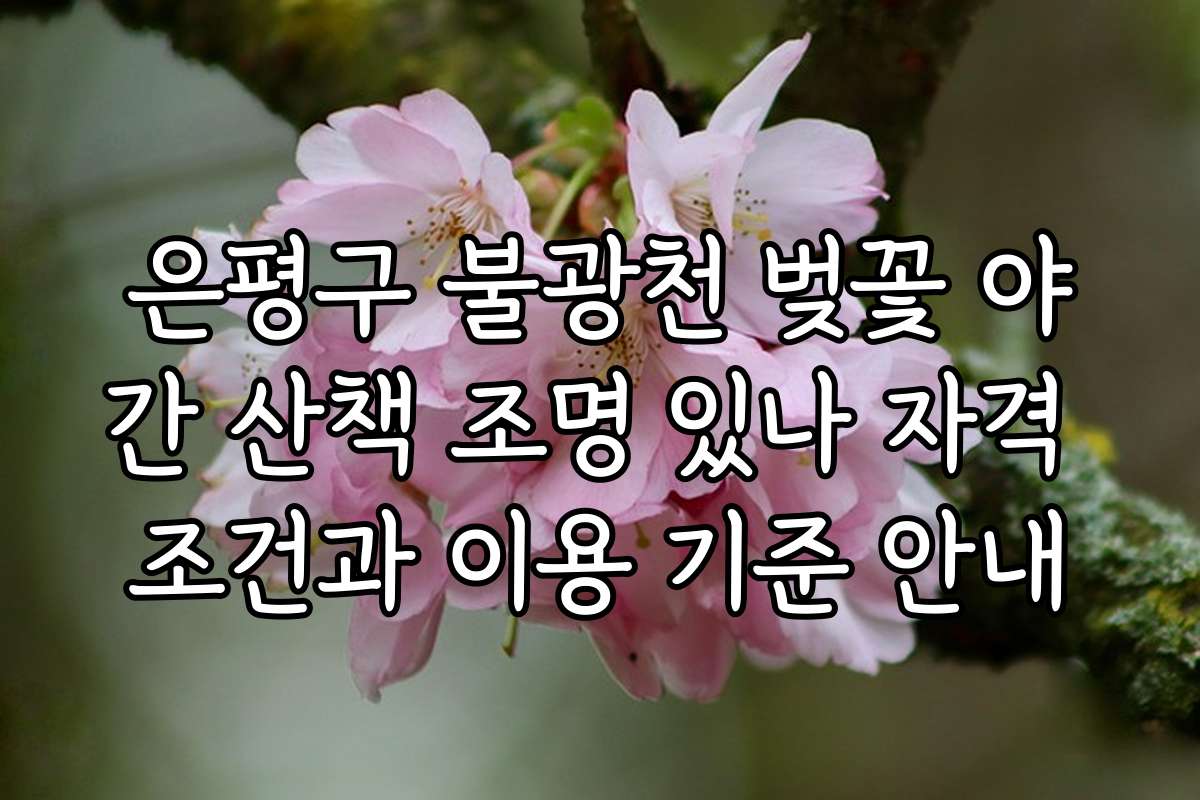 은평구 불광천 벚꽃 야간 산책 조명 있나 자격 조건과 이용 기준 안내
