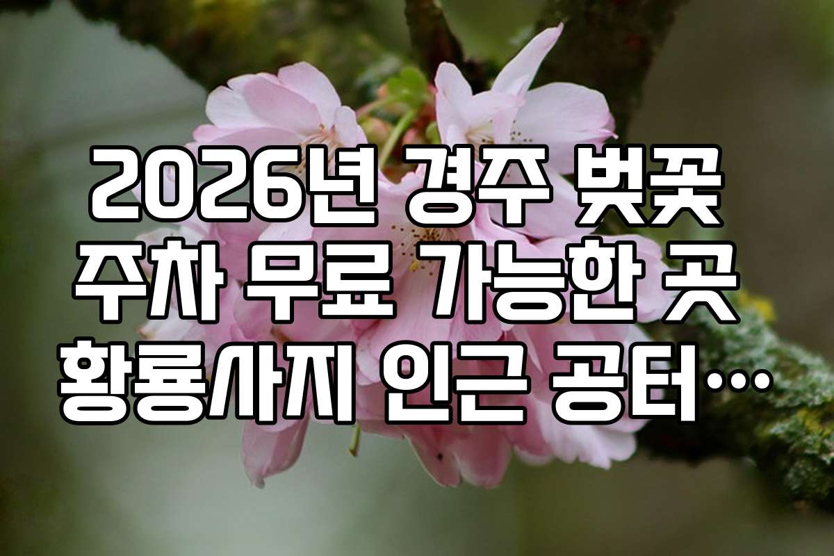 2026년 경주 벚꽃 주차 무료 가능한 곳 황룡사지 인근 공터 정보