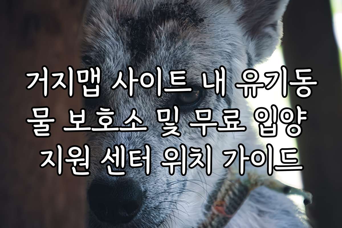 거지맵 사이트 내 유기동물 보호소 및 무료 입양 지원 센터 위치 가이드