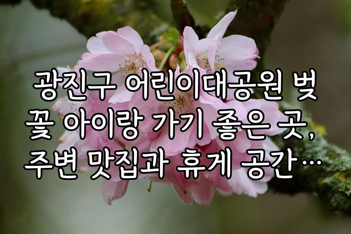 광진구 어린이대공원 벚꽃 아이랑 가기 좋은 곳, 주변 맛집과 휴게 공간 추천