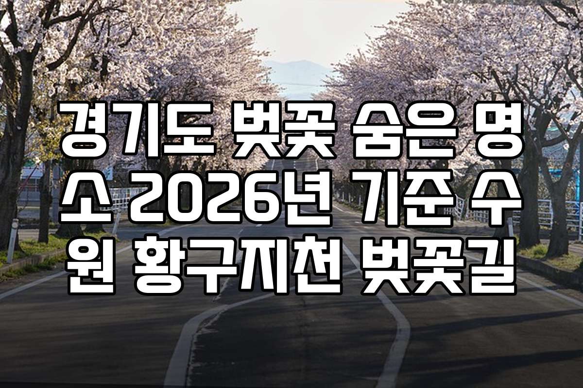 경기도 벚꽃 숨은 명소 2026년 기준 수원 황구지천 벚꽃길