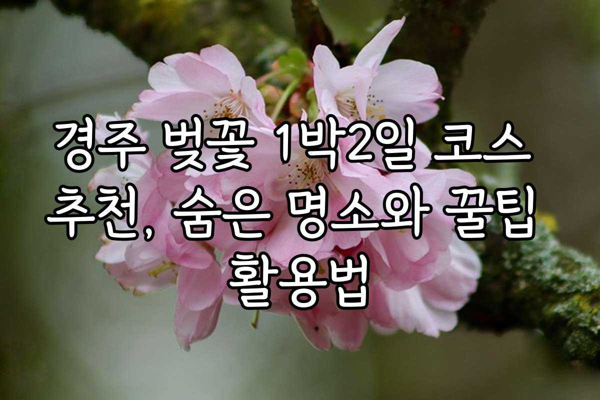 경주 벚꽃 1박2일 코스 추천, 숨은 명소와 꿀팁 활용법