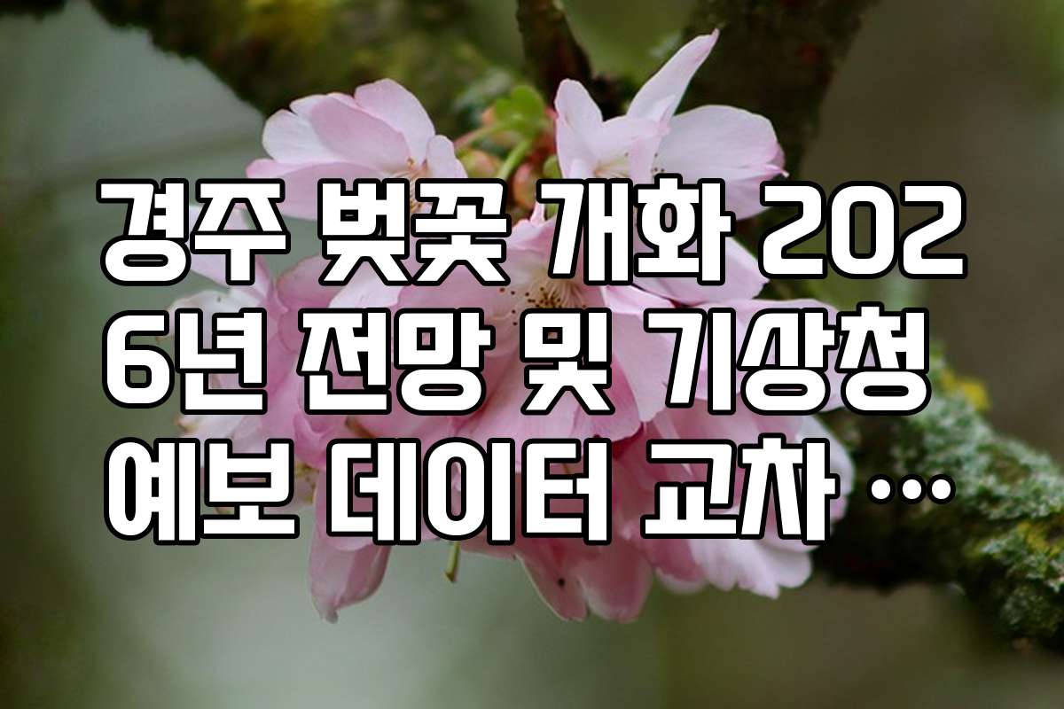 경주 벚꽃 개화 2026년 전망 및 기상청 예보 데이터 교차 검증