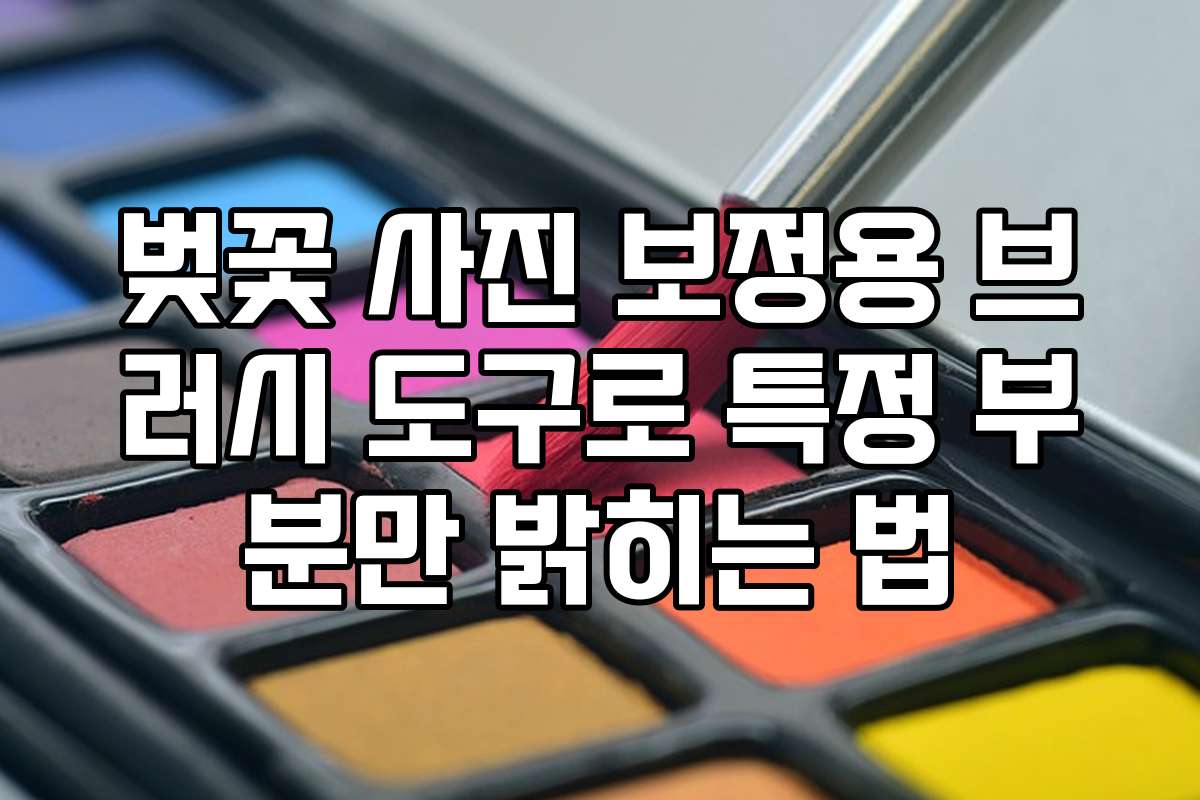 벚꽃 사진 보정용 브러시 도구로 특정 부분만 밝히는 법