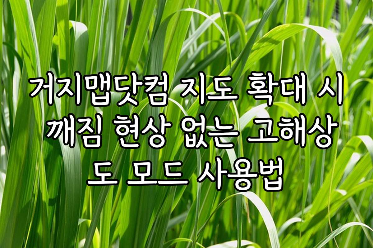 거지맵닷컴 지도 확대 시 깨짐 현상 없는 고해상도 모드 사용법