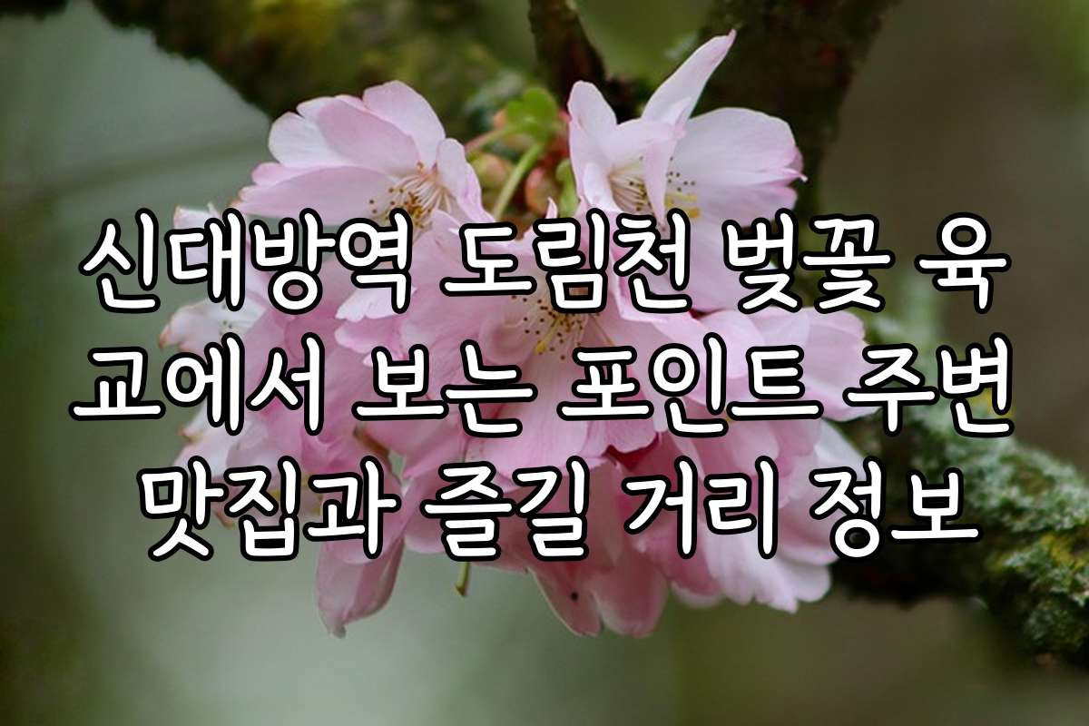 신대방역 도림천 벚꽃 육교에서 보는 포인트 주변 맛집과 즐길 거리 정보