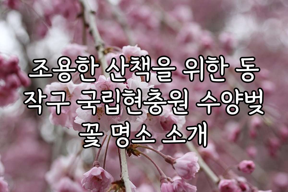 조용한 산책을 위한 동작구 국립현충원 수양벚꽃 명소 소개