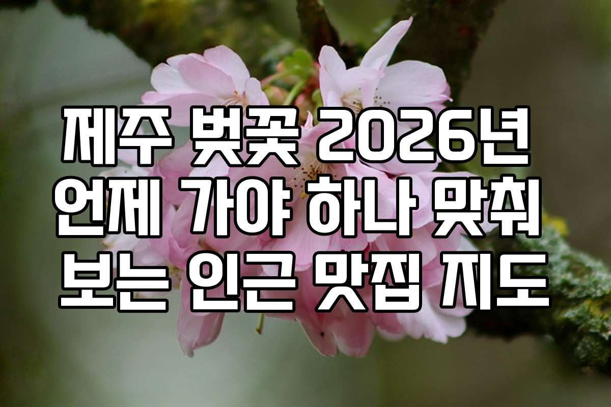 제주 벚꽃 2026년 언제 가야 하나 맞춰 보는 인근 맛집 지도