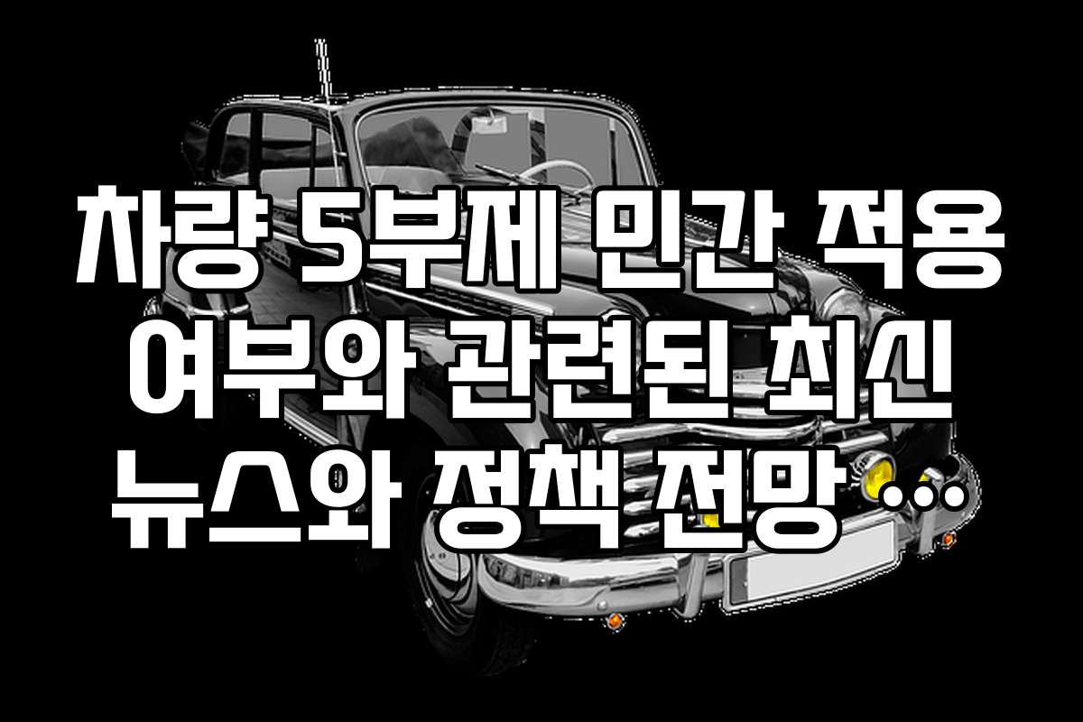 차량 5부제 민간 적용 여부와 관련된 최신 뉴스와 정책 전망 분석
