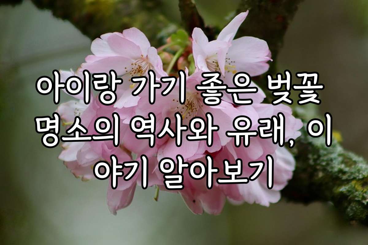 아이랑 가기 좋은 벚꽃 명소의 역사와 유래, 이야기 알아보기