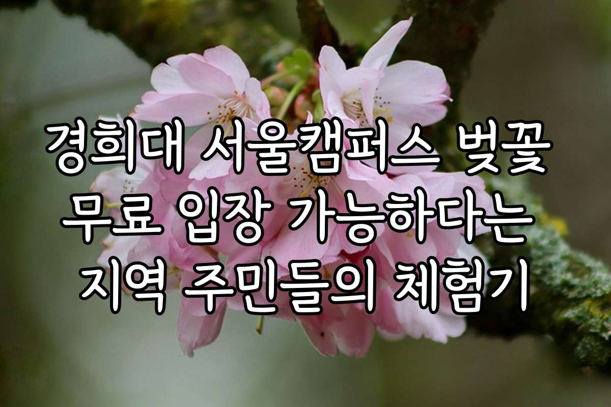 경희대 서울캠퍼스 벚꽃 무료 입장 가능하다는 지역 주민들의 체험기