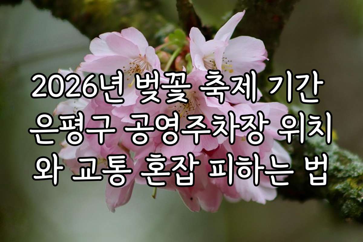 2026년 벚꽃 축제 기간 은평구 공영주차장 위치와 교통 혼잡 피하는 법