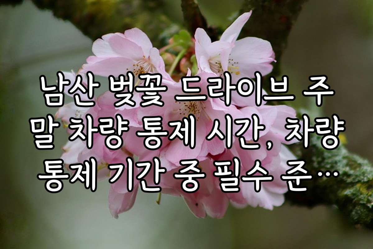 남산 벚꽃 드라이브 주말 차량 통제 시간, 차량 통제 기간 중 필수 준비물 체크리스트