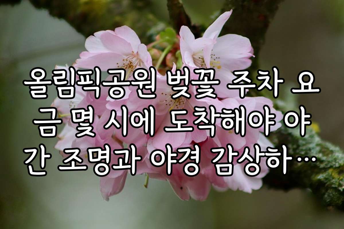 올림픽공원 벚꽃 주차 요금 몇 시에 도착해야 야간 조명과 야경 감상하기 좋은 시간