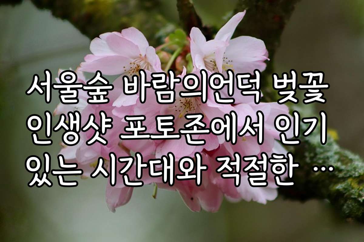 서울숲 바람의언덕 벚꽃 인생샷 포토존에서 인기 있는 시간대와 적절한 촬영 팁