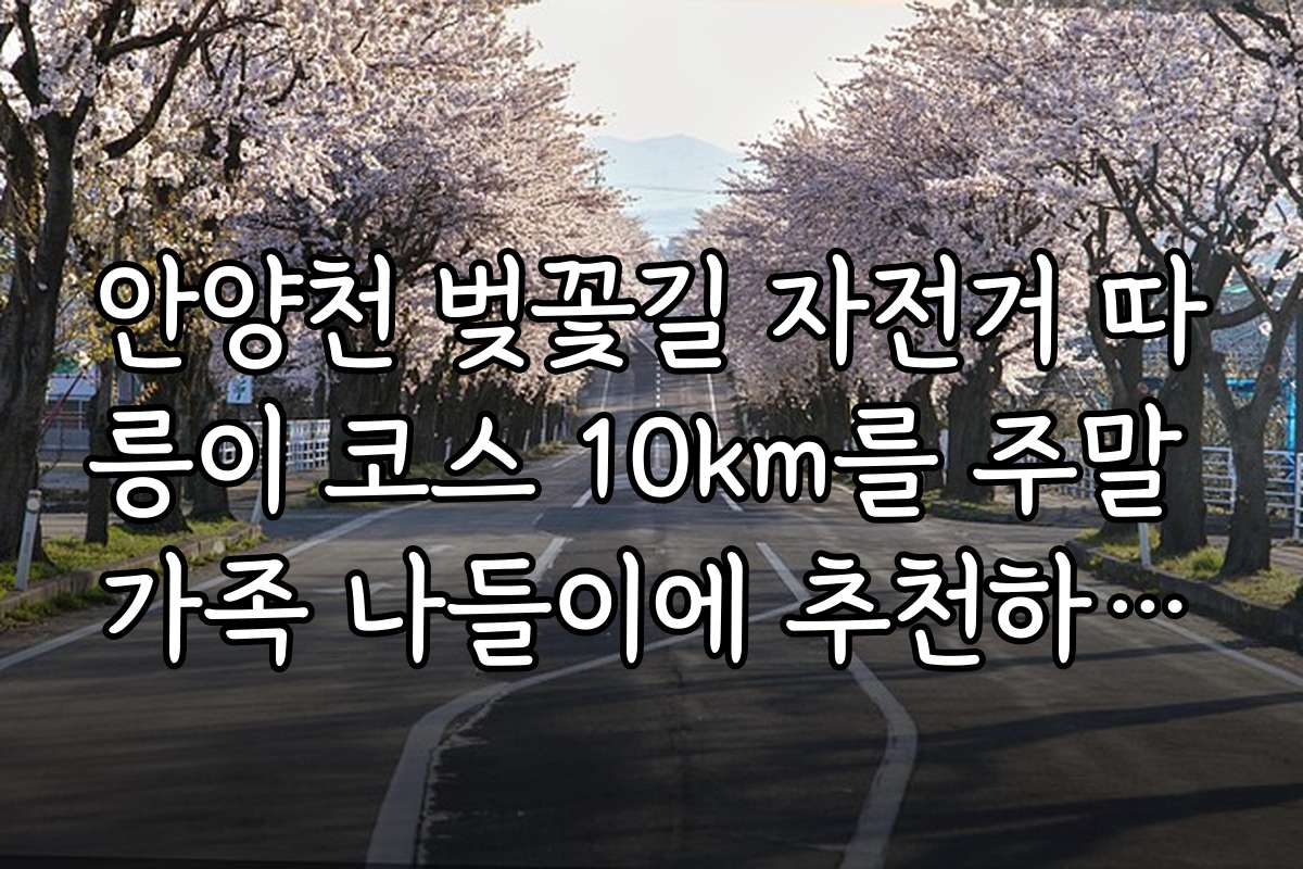 안양천 벚꽃길 자전거 따릉이 코스 10km를 주말 가족 나들이에 추천하는 이유와 후기
