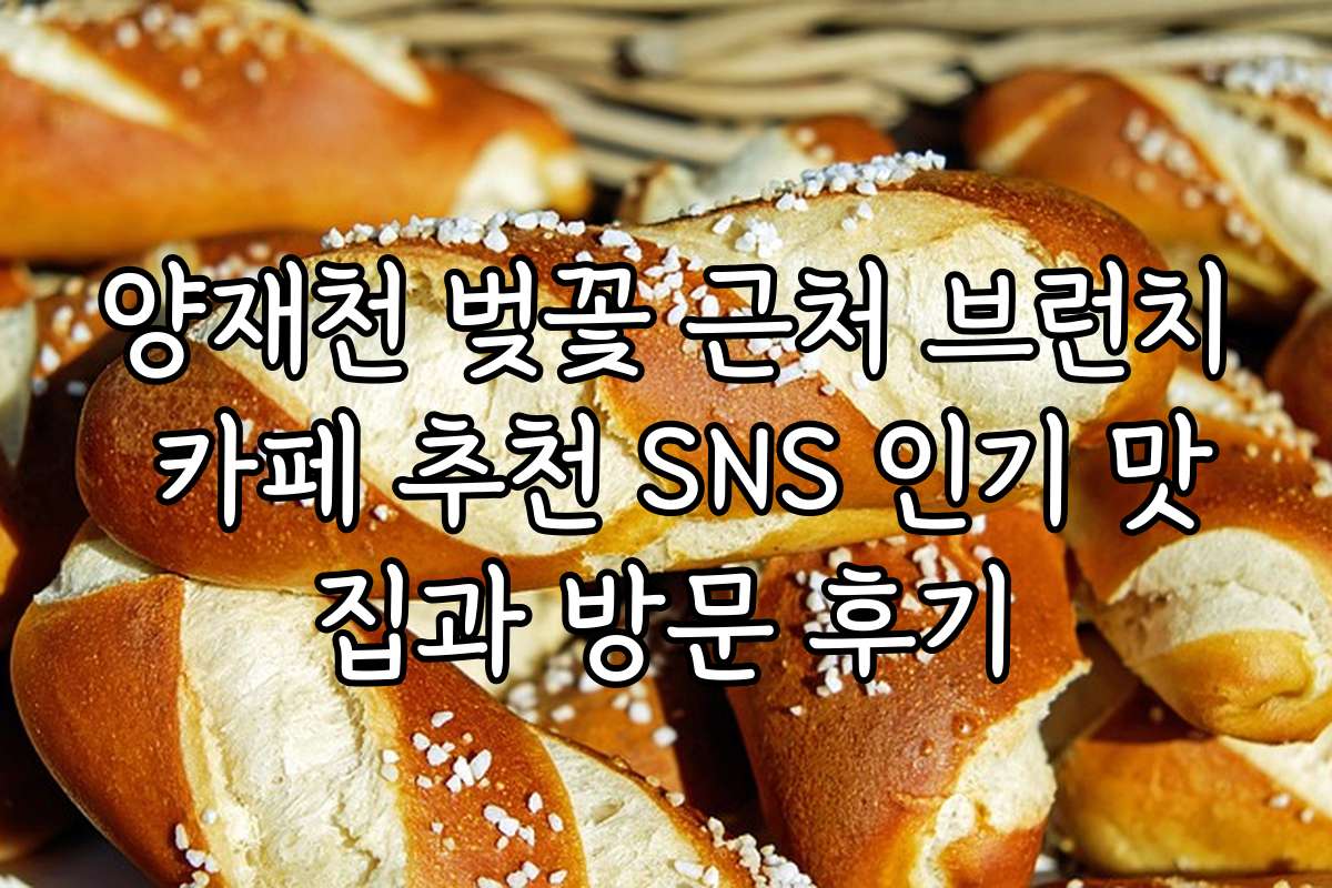 양재천 벚꽃 근처 브런치 카페 추천 SNS 인기 맛집과 방문 후기