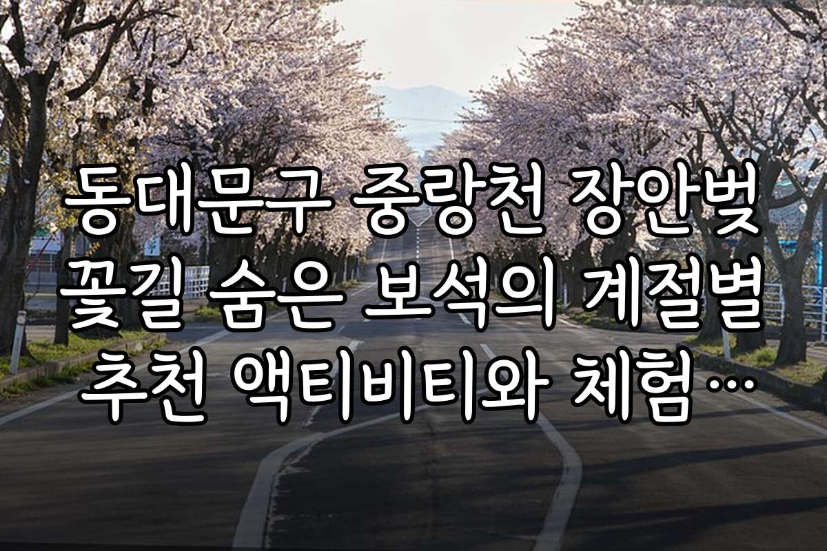 동대문구 중랑천 장안벚꽃길 숨은 보석의 계절별 추천 액티비티와 체험 프로그램