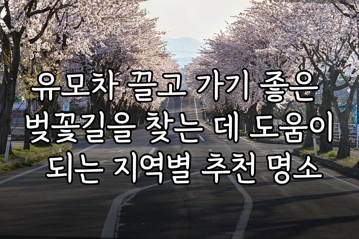 유모차 끌고 가기 좋은 벚꽃길을 찾는 데 도움이 되는 지역별 추천 명소