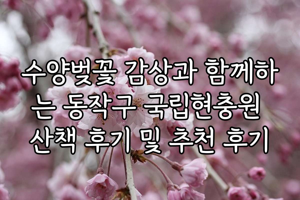 수양벚꽃 감상과 함께하는 동작구 국립현충원 산책 후기 및 추천 후기