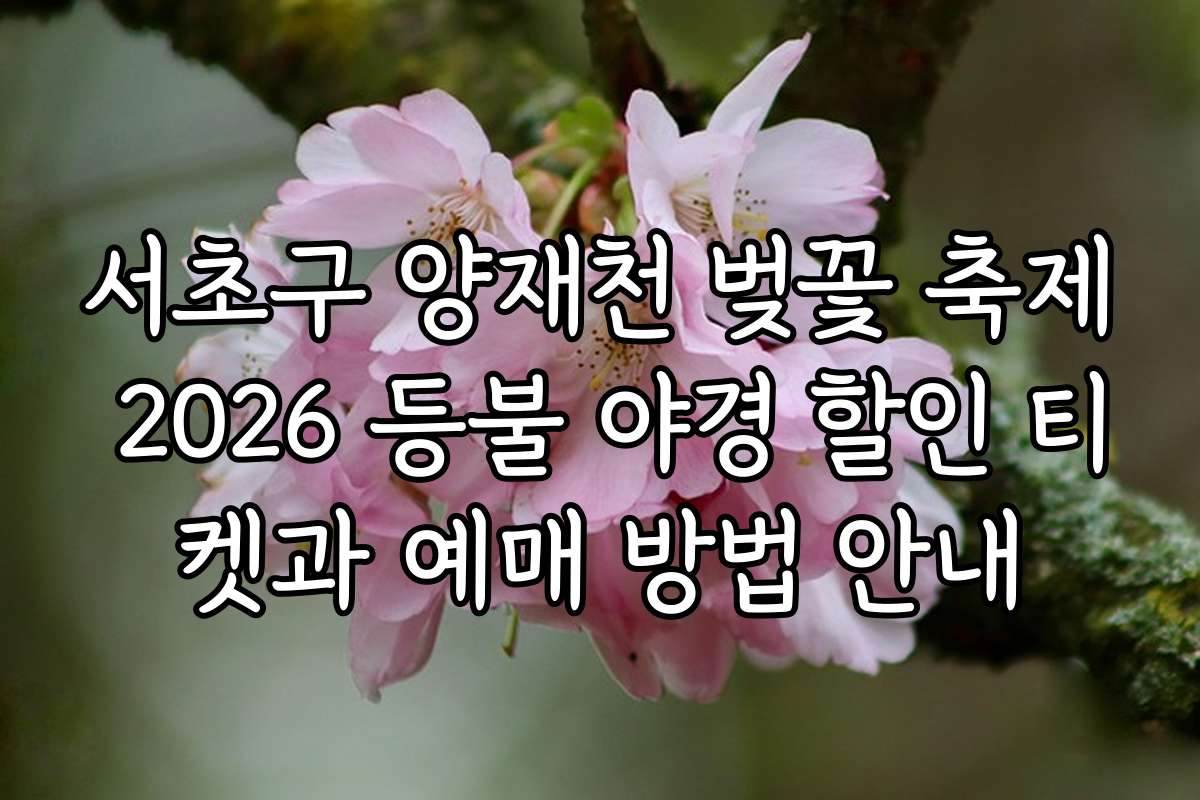 서초구 양재천 벚꽃 축제 2026 등불 야경 할인 티켓과 예매 방법 안내