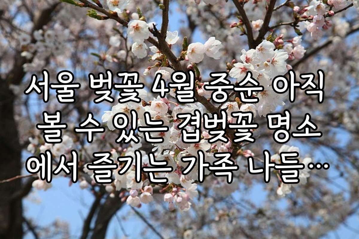 서울 벚꽃 4월 중순 아직 볼 수 있는 겹벚꽃 명소에서 즐기는 가족 나들이 추천 코스