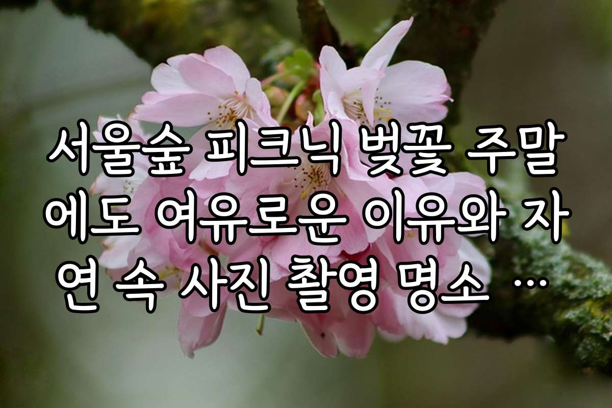 서울숲 피크닉 벚꽃 주말에도 여유로운 이유와 자연 속 사진 촬영 명소 소개