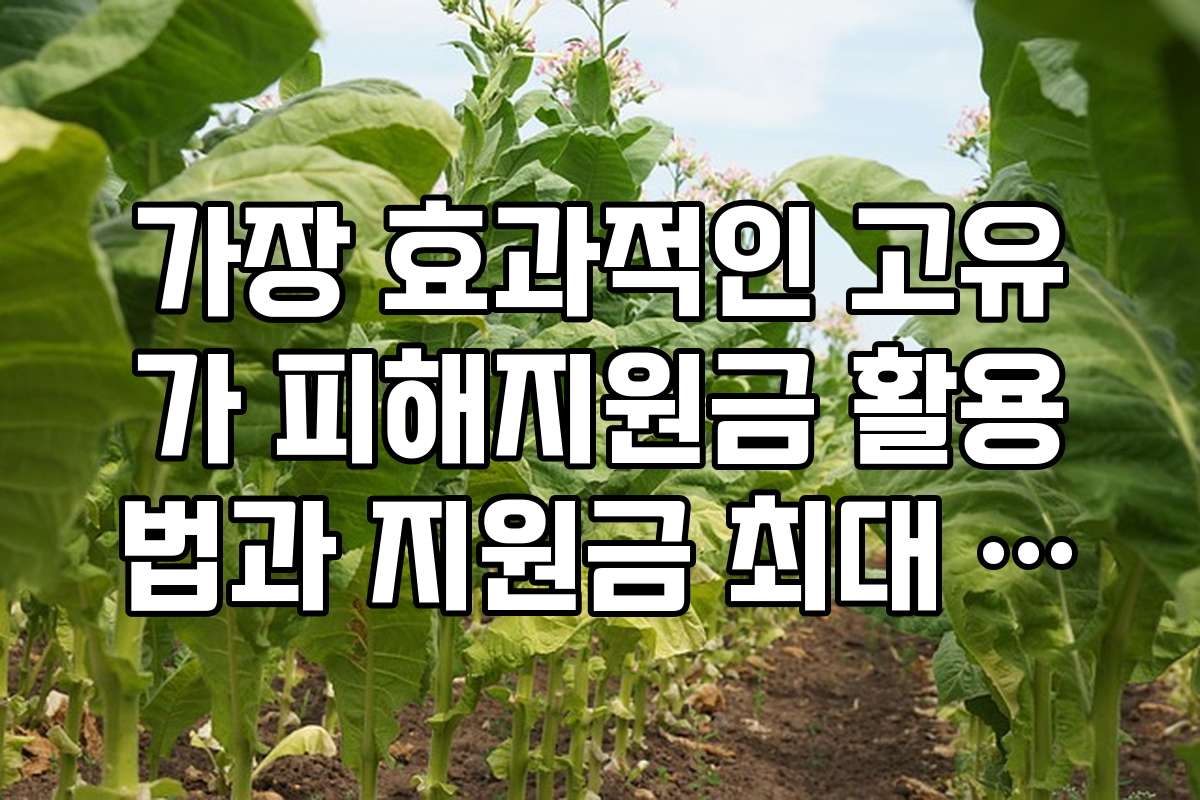 가장 효과적인 고유가 피해지원금 활용법과 지원금 최대 활용 전략