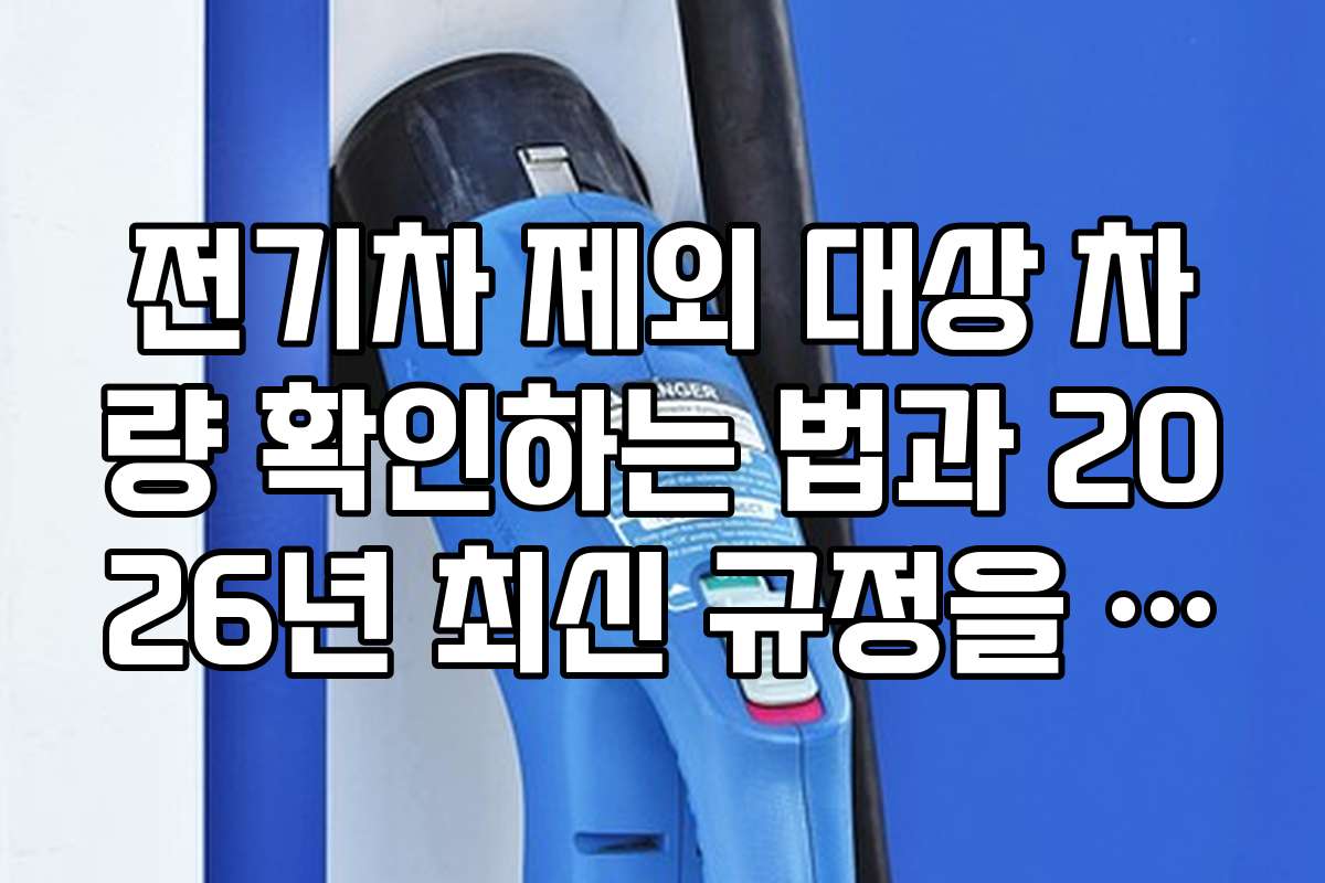 전기차 제외 대상 차량 확인하는 법과 2026년 최신 규정을 쉽게 설명해 드립니다