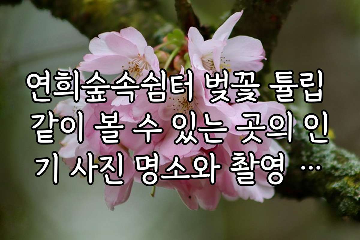 연희숲속쉼터 벚꽃 튤립 같이 볼 수 있는 곳의 인기 사진 명소와 촬영 꿀팁