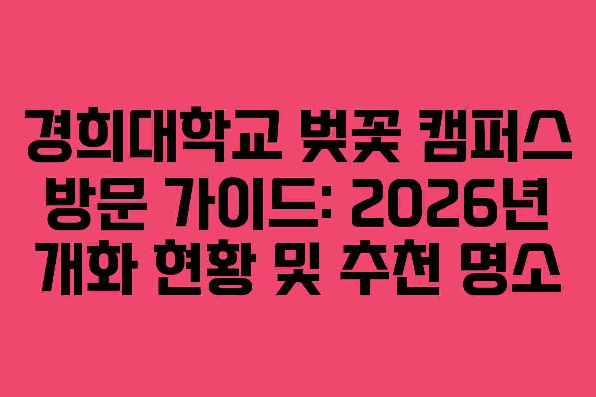 경희대학교 벚꽃 캠퍼스 방문 가이드: 2026년 개화 현황 및 추천 명소