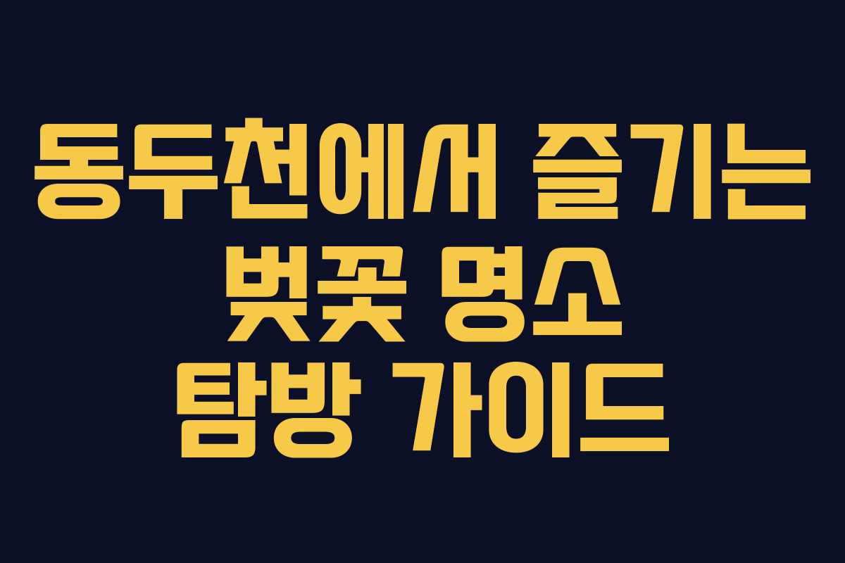 동두천에서 즐기는 벚꽃 명소 탐방 가이드