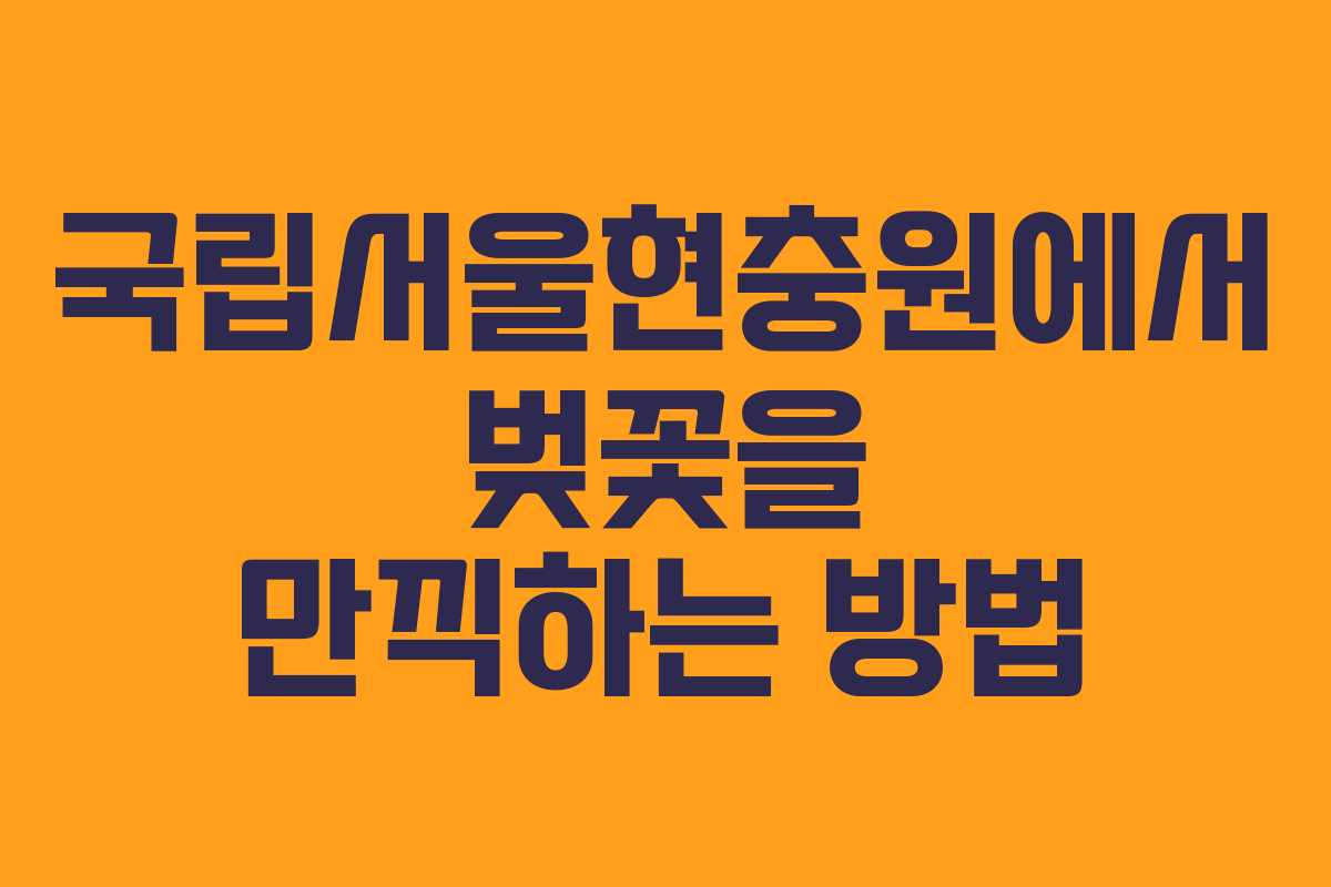 국립서울현충원에서 벚꽃을 만끽하는 방법
