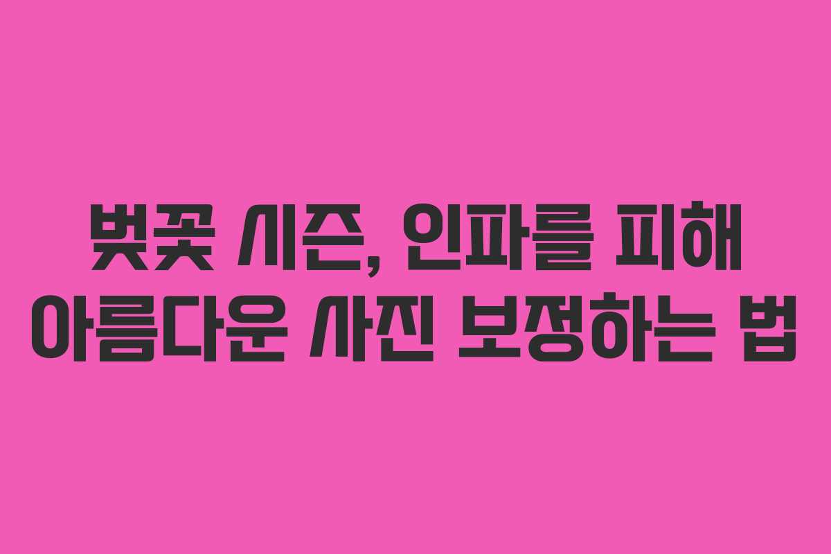 벚꽃 시즌, 인파를 피해 아름다운 사진 보정하는 법