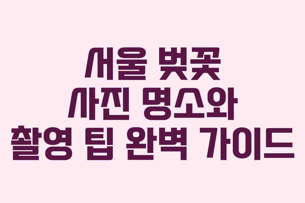 서울 벚꽃 사진 명소와 촬영 팁 완벽 가이드