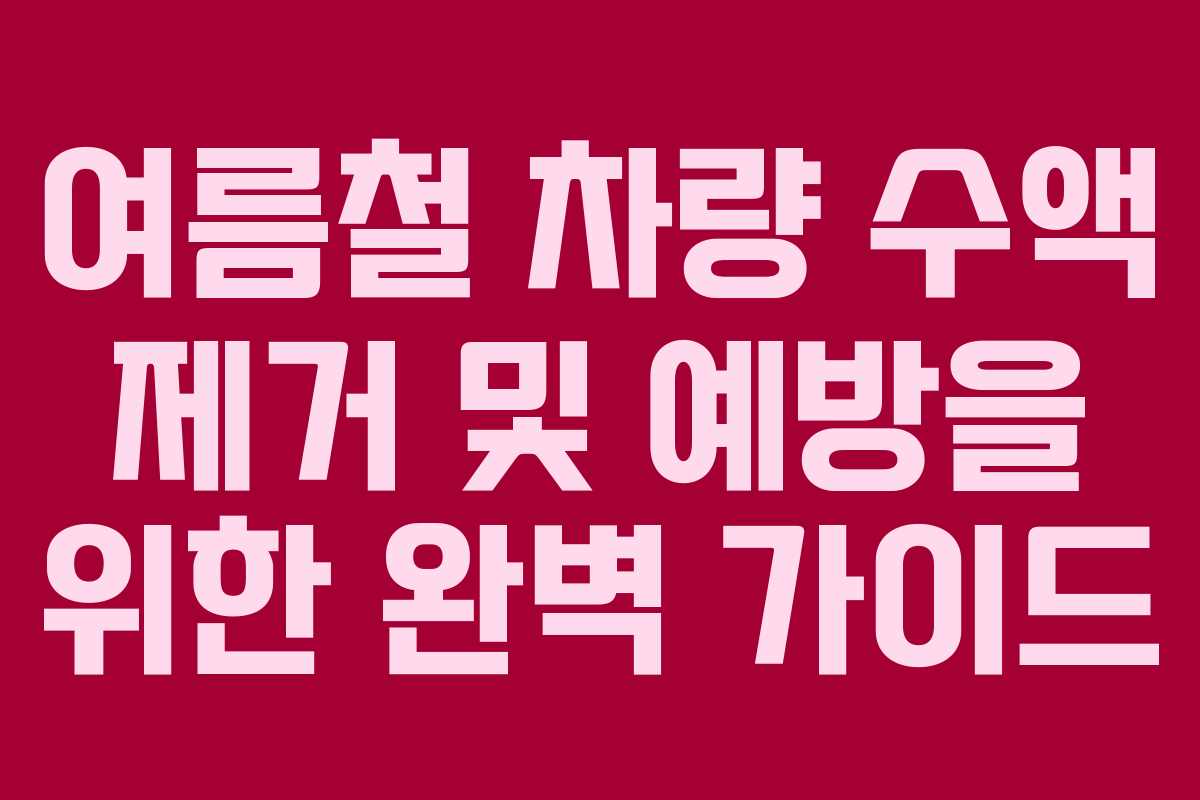 여름철 차량 수액 제거 및 예방을 위한 완벽 가이드