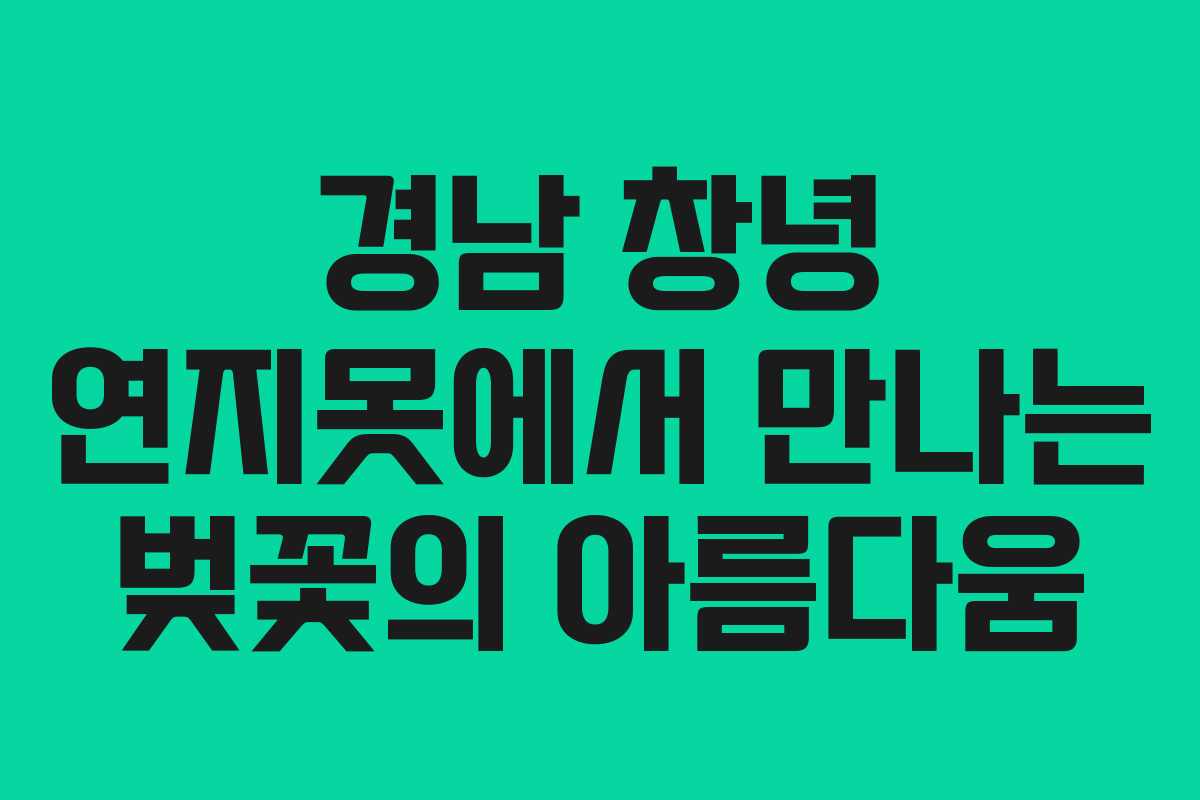 경남 창녕 연지못에서 만나는 벚꽃의 아름다움