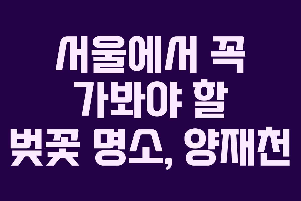 서울에서 꼭 가봐야 할 벚꽃 명소, 양재천