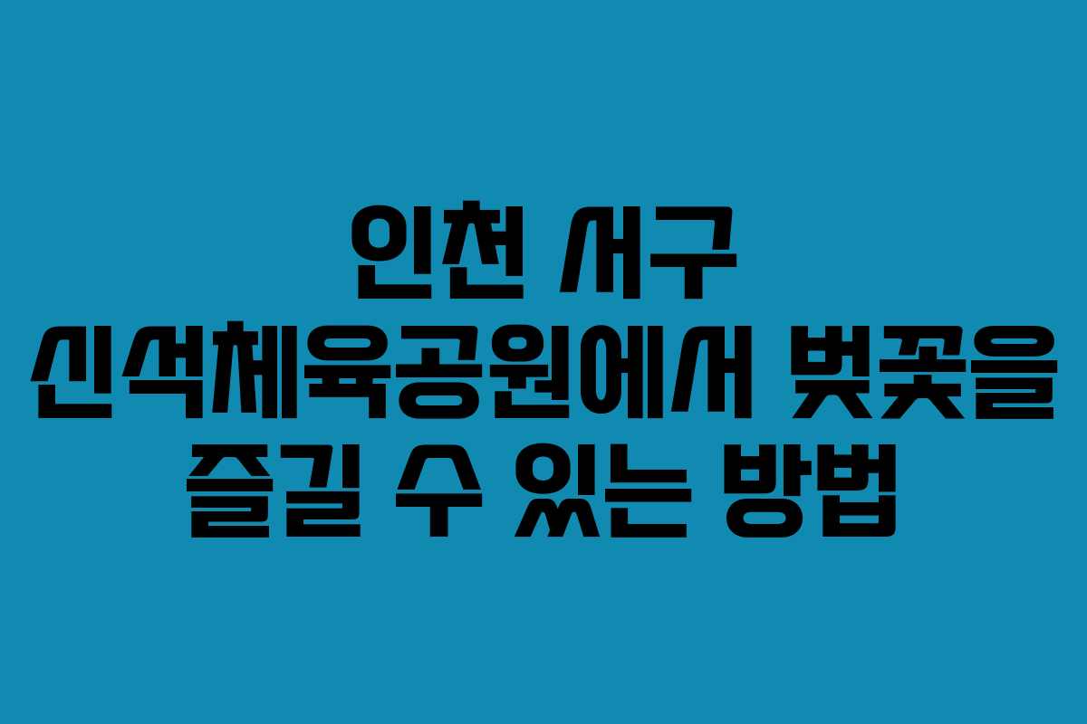 인천 서구 신석체육공원에서 벚꽃을 즐길 수 있는 방법