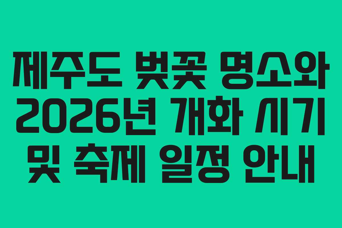 제주도 벚꽃 명소와 2026년 개화 시기 및 축제 일정 안내