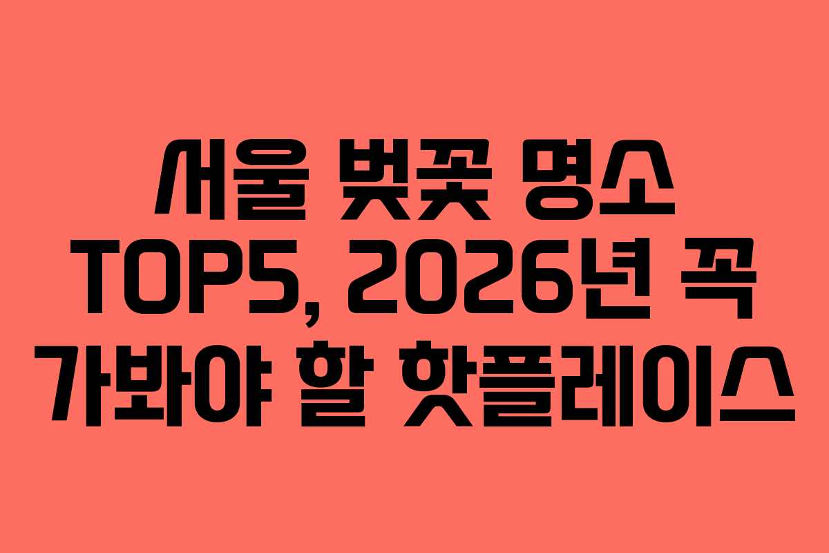 서울 벚꽃 명소 TOP5, 2026년 꼭 가봐야 할 핫플레이스