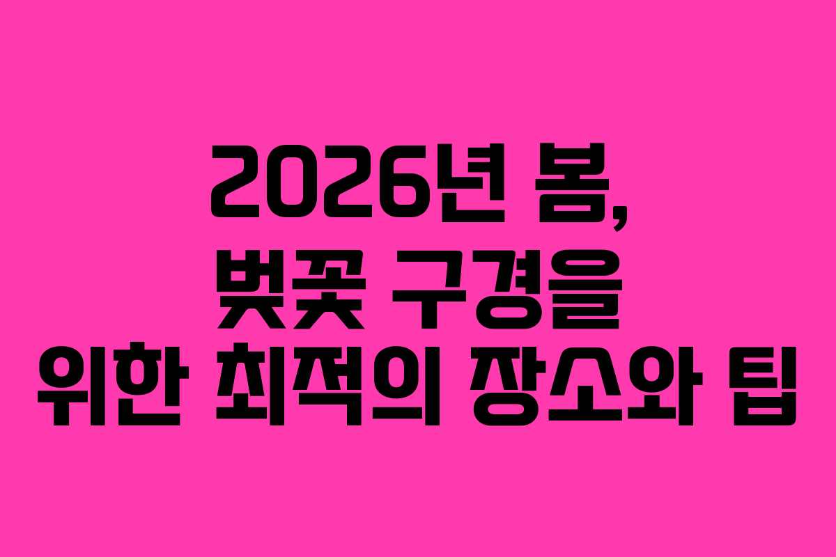 2026년 봄, 벚꽃 구경을 위한 최적의 장소와 팁