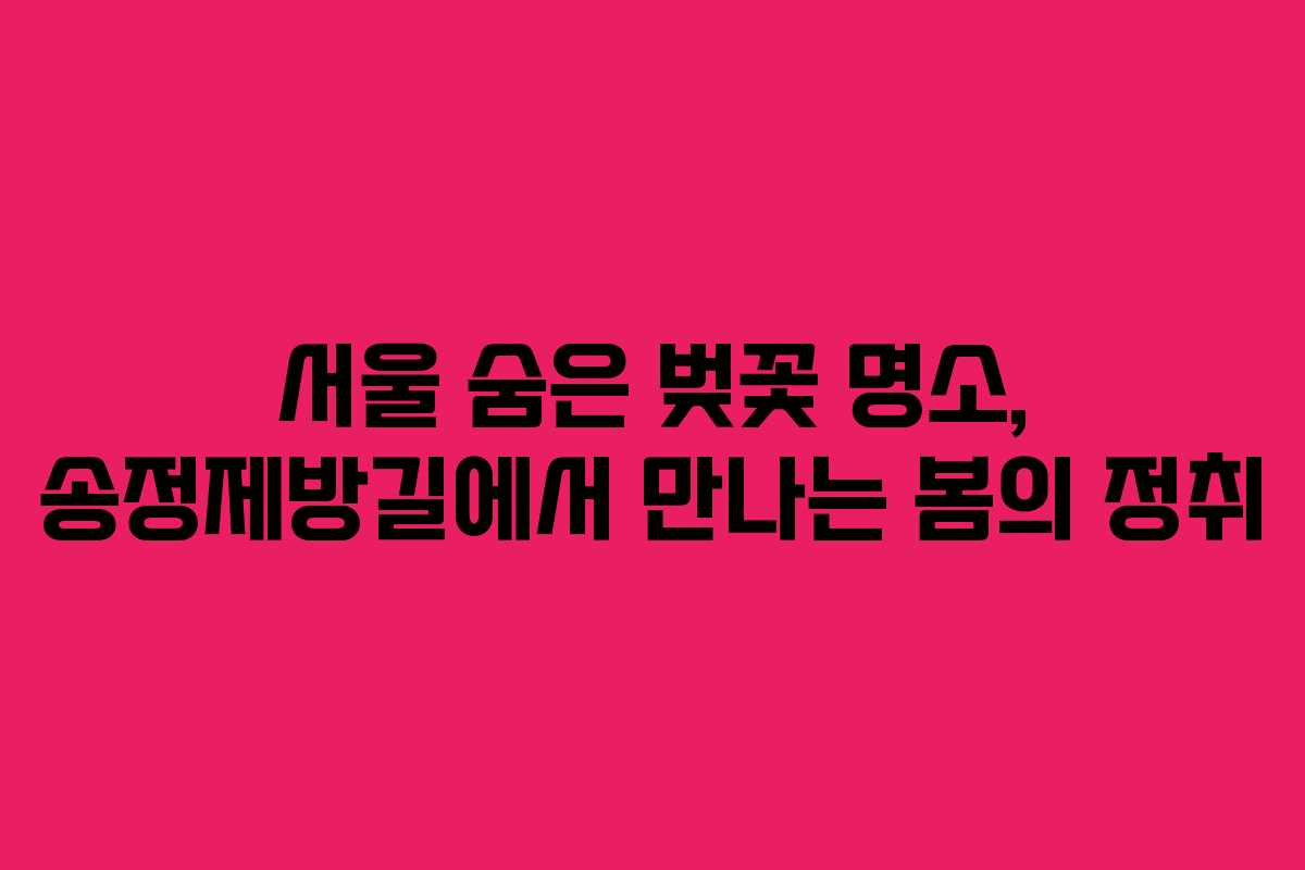 서울 숨은 벚꽃 명소, 송정제방길에서 만나는 봄의 정취